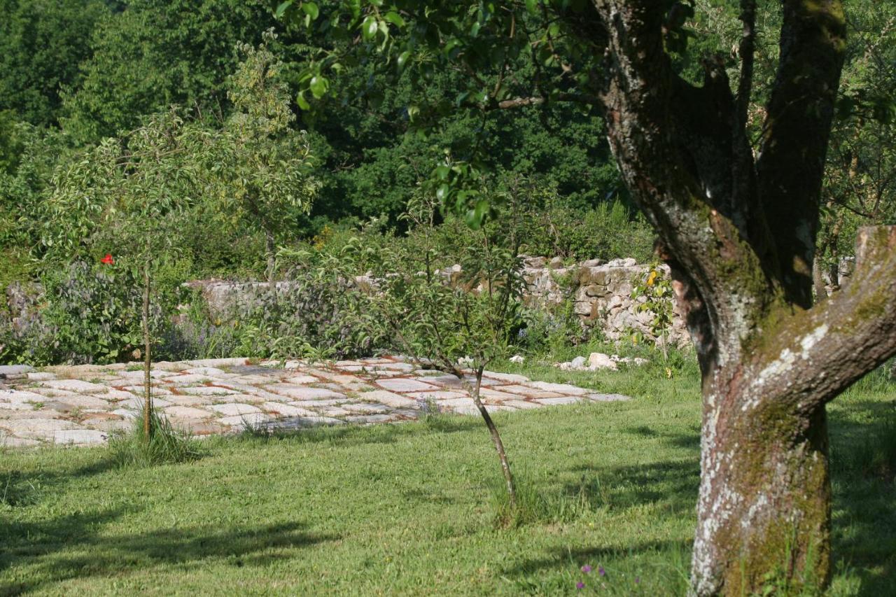 Pazo De Chaioso Ribeira Sacra Maceda Luaran gambar